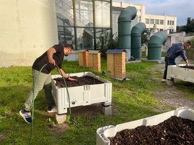 Green Roof Maintenance