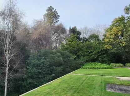 Sampling at Fundao Calouste Gulbenkian