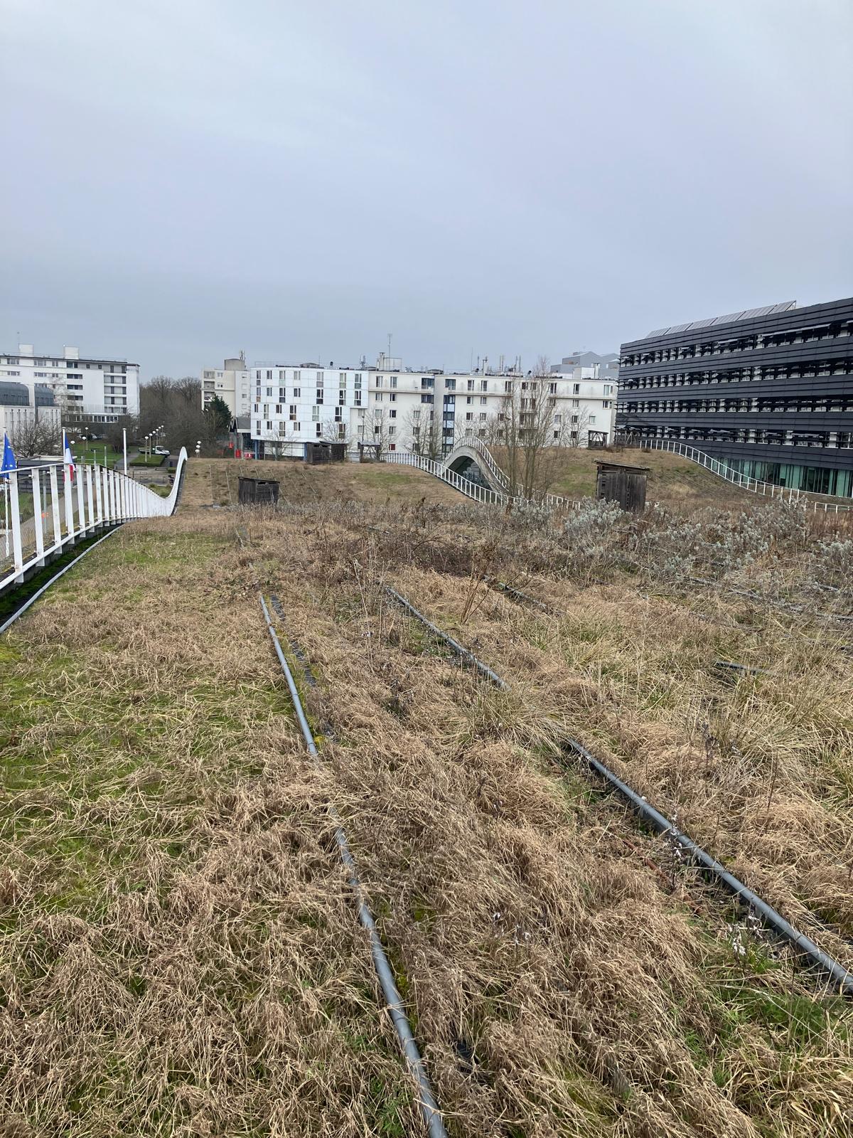Escole des Ponts, ParisTech